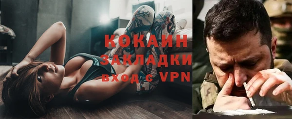 тгк Арсеньев