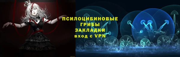 тгк Арсеньев