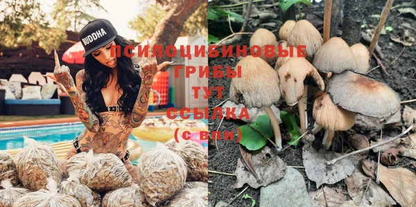 тгк Арсеньев