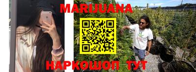 прущие грибы Гусиноозёрск