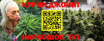 прущие грибы Гусиноозёрск