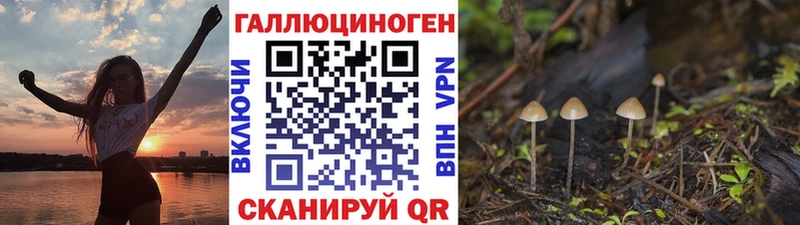 Галлюциногенные грибы Magic Shrooms  hydra онион  Канаш 