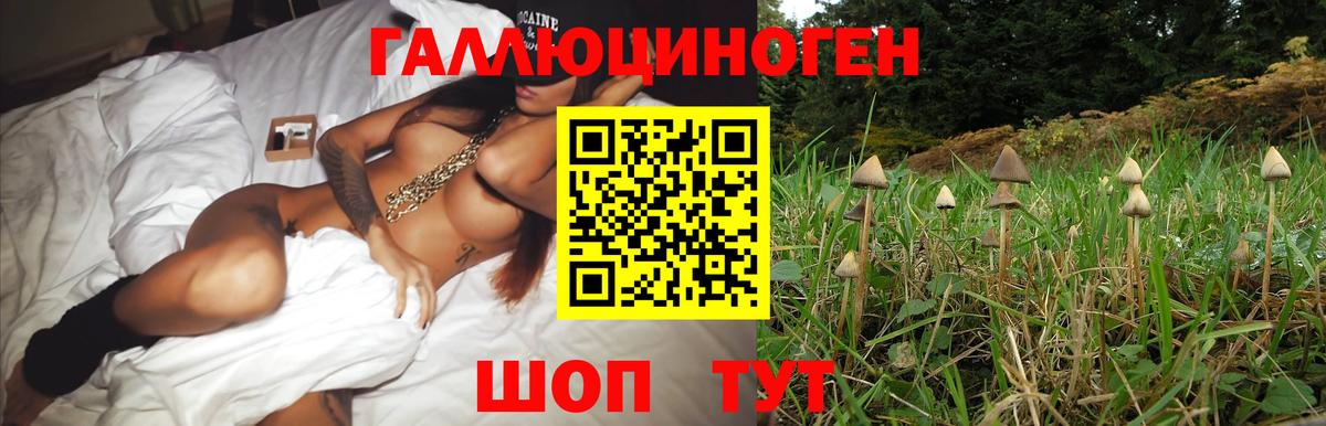 Галлюциногенные грибы мицелий  Псилоцибиновые грибы GOLDEN TEACHER  Вход с VPN  Канаш 