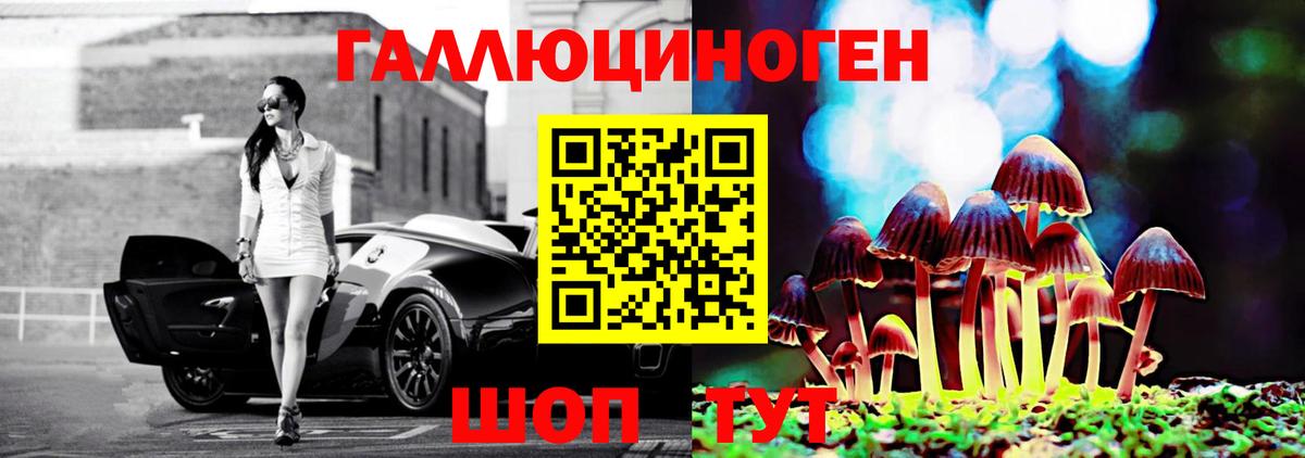 Псилоцибиновые грибы прущие грибы Канаш